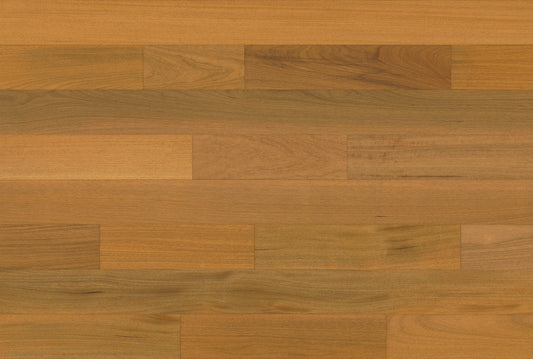 Brazilian Oak (Tauari) in Natural (tinted) 